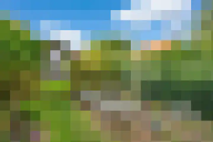 Bergsestraat 101 Wouw thumbnail 49