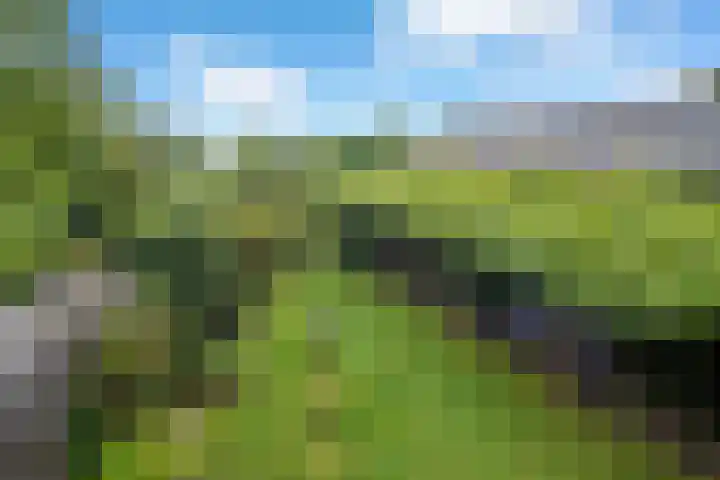 Bergsestraat 101 Wouw thumbnail 5