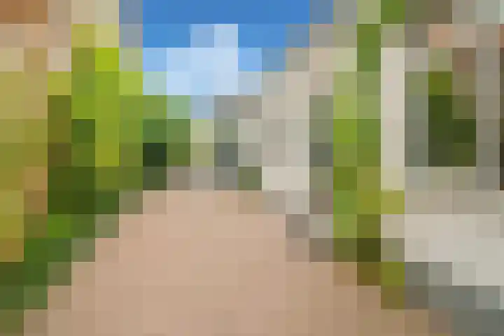 Bergsestraat 101 Wouw thumbnail 51
