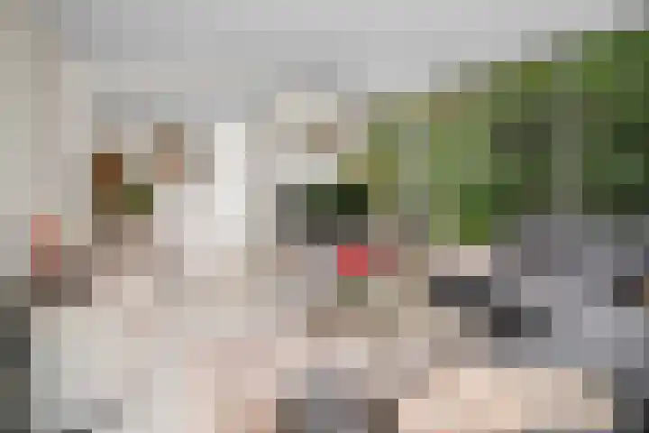 Bergsestraat 101 Wouw thumbnail 7