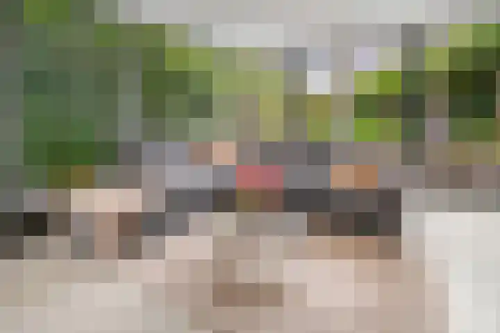 Bergsestraat 101 Wouw thumbnail 8