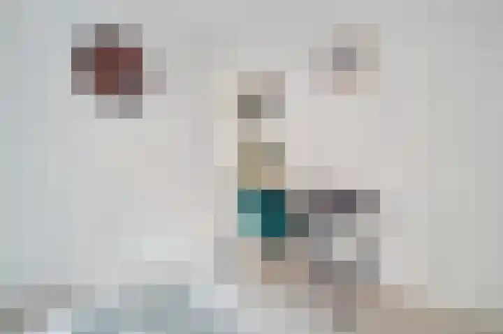 Bergsestraat 17 Wouw thumbnail 15