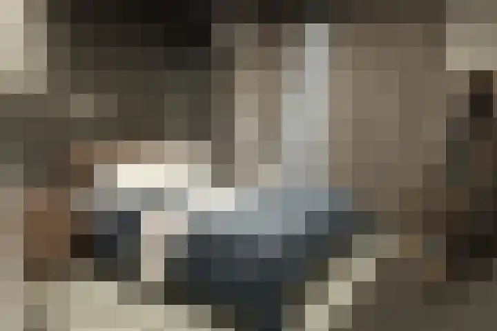 Bergsestraat 21 Huijbergen thumbnail 4