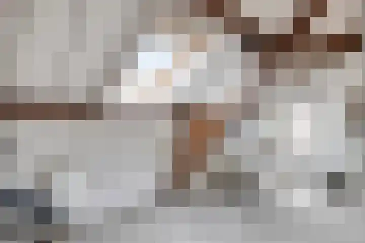 Bergsestraat 34 Wouw thumbnail 25