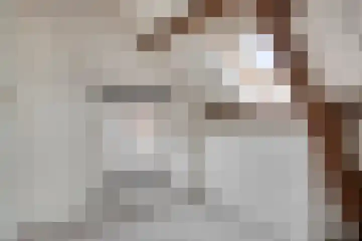 Bergsestraat 34 Wouw thumbnail 28