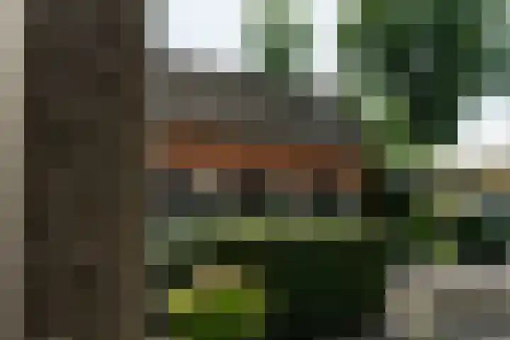 Bergsestraat 34 Wouw thumbnail 34