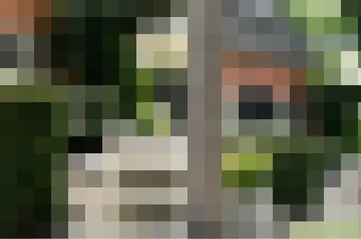 Bergsestraat 34 Wouw thumbnail 35