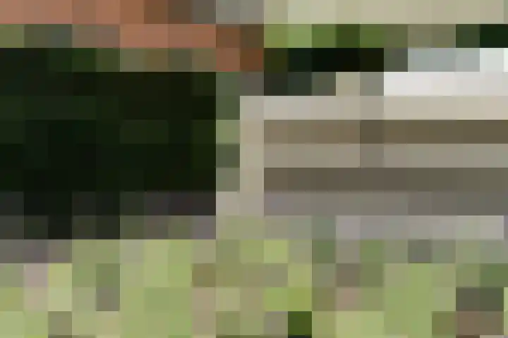 Bergsestraat 34 Wouw thumbnail 36
