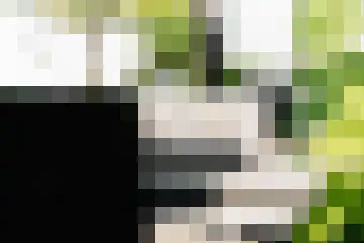 Bergsestraat 34 Wouw thumbnail 37