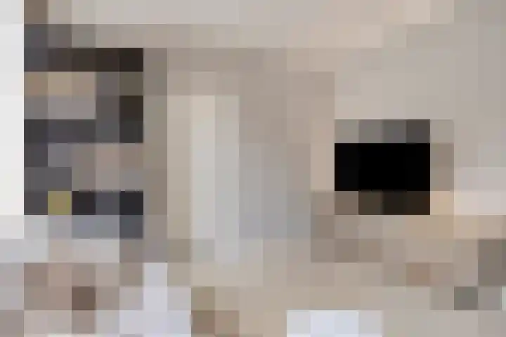 Bergsestraat 34 Wouw thumbnail 4
