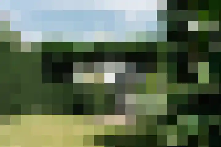 Bergsestraat 34 Wouw thumbnail 41