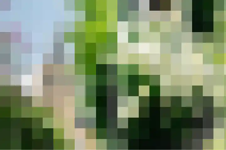 Bergsestraat 34 Wouw thumbnail 44