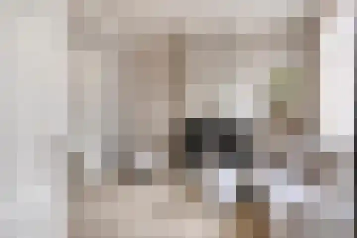 Bergsestraat 34 Wouw thumbnail 5