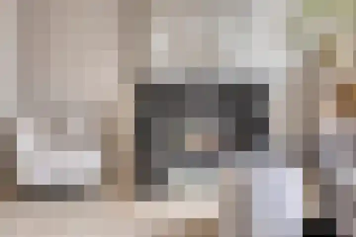 Bergsestraat 34 Wouw thumbnail 6
