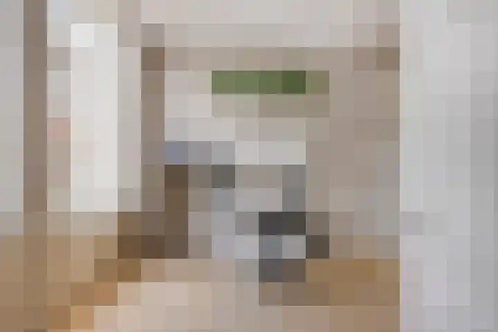 Bergsestraat 34 Wouw thumbnail 7
