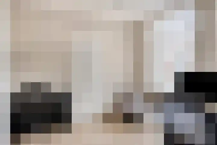 Bergsestraat 34 Wouw thumbnail 8