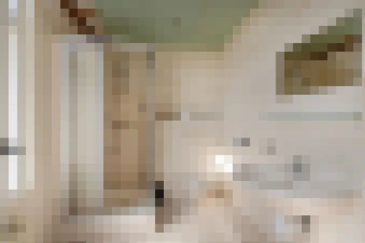 Bergsestraat 69 Wouw thumbnail 39