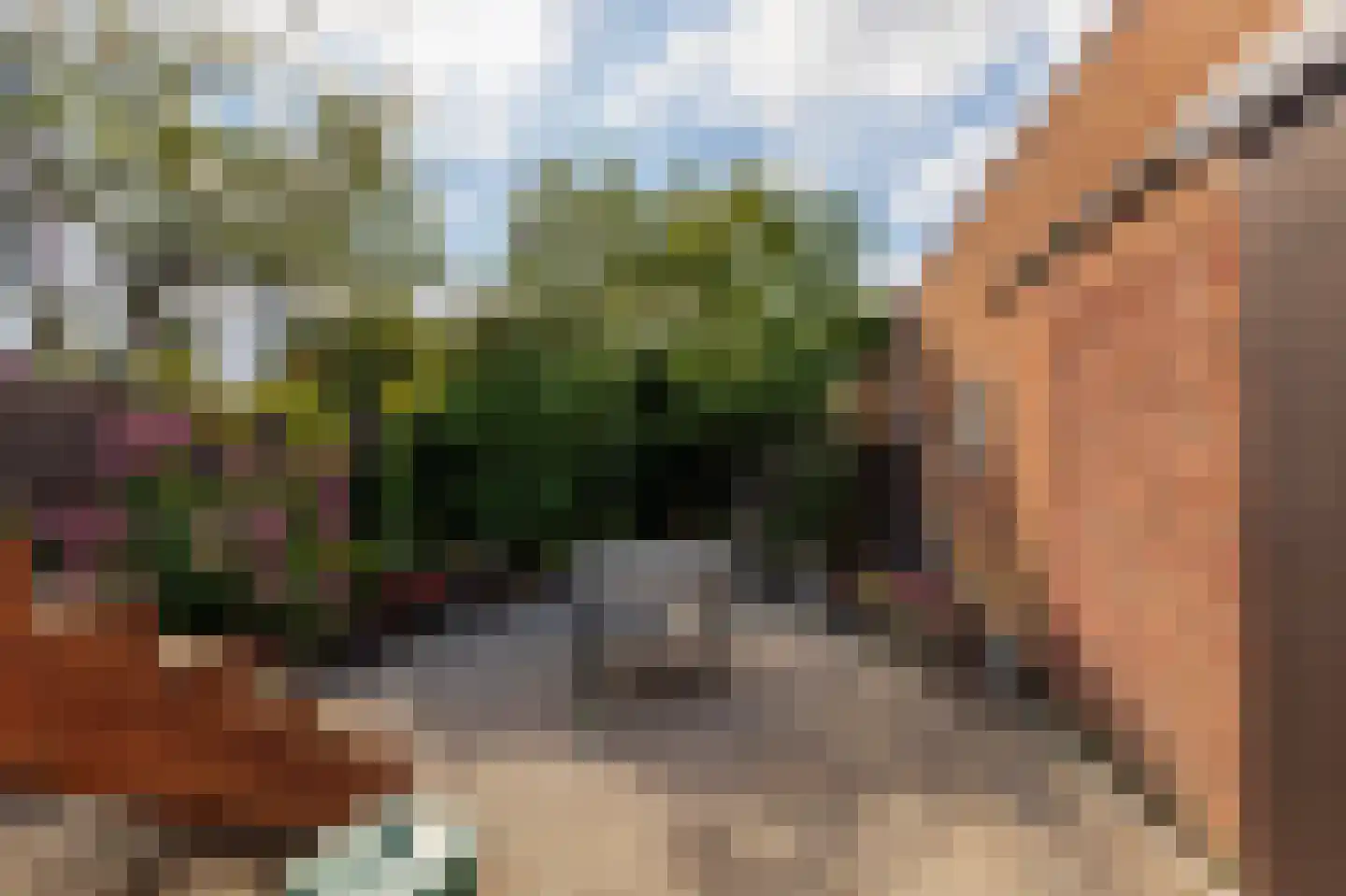 Bergsestraat 69 Wouw thumbnail 51