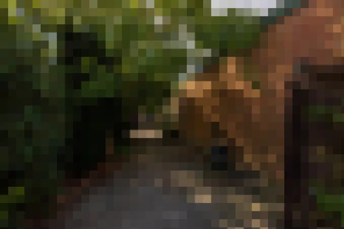 Bergsestraat 69 Wouw thumbnail 52