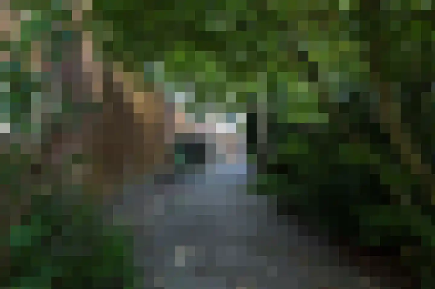 Bergsestraat 69 Wouw thumbnail 53