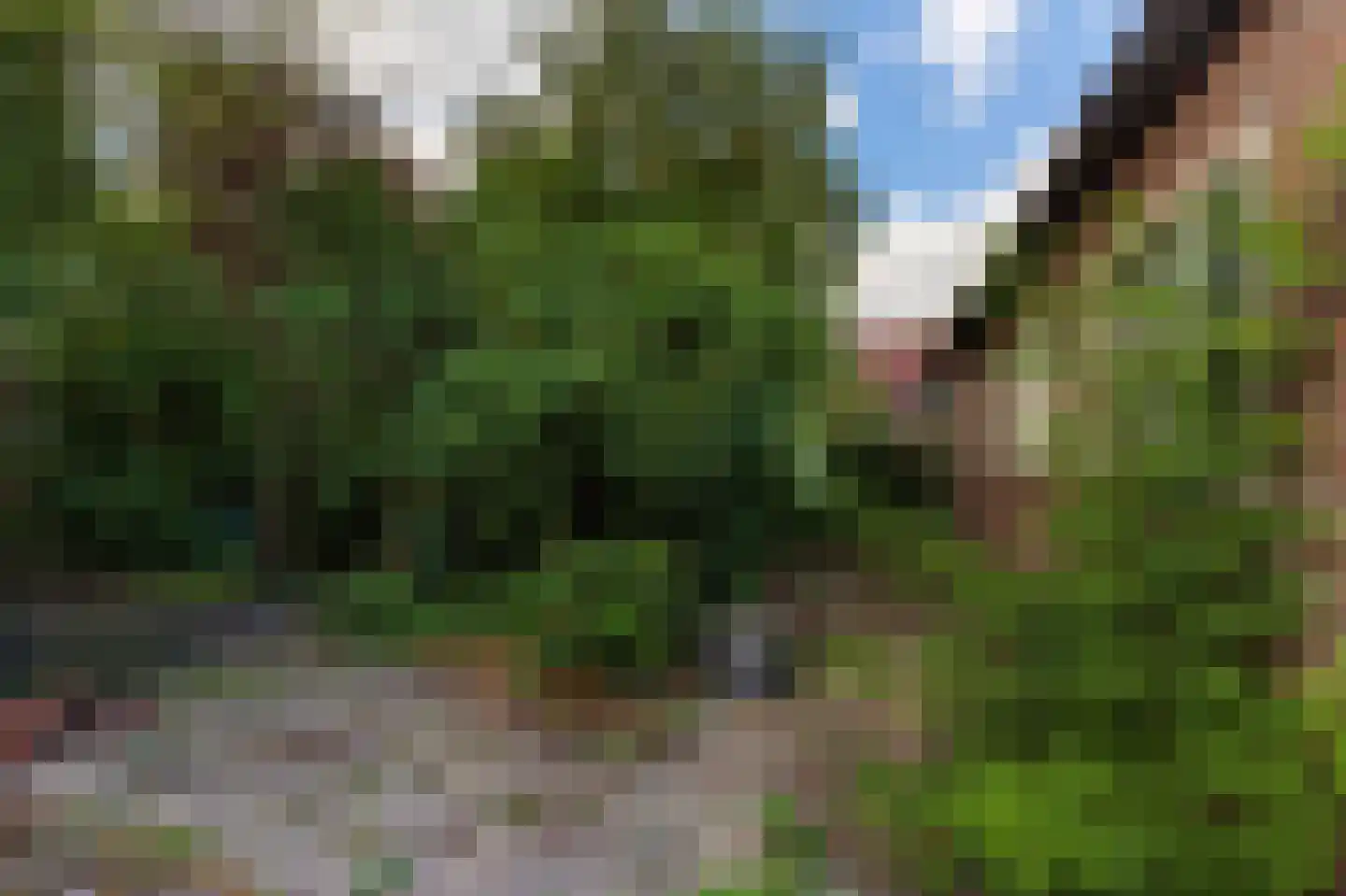 Bergsestraat 69 Wouw thumbnail 55