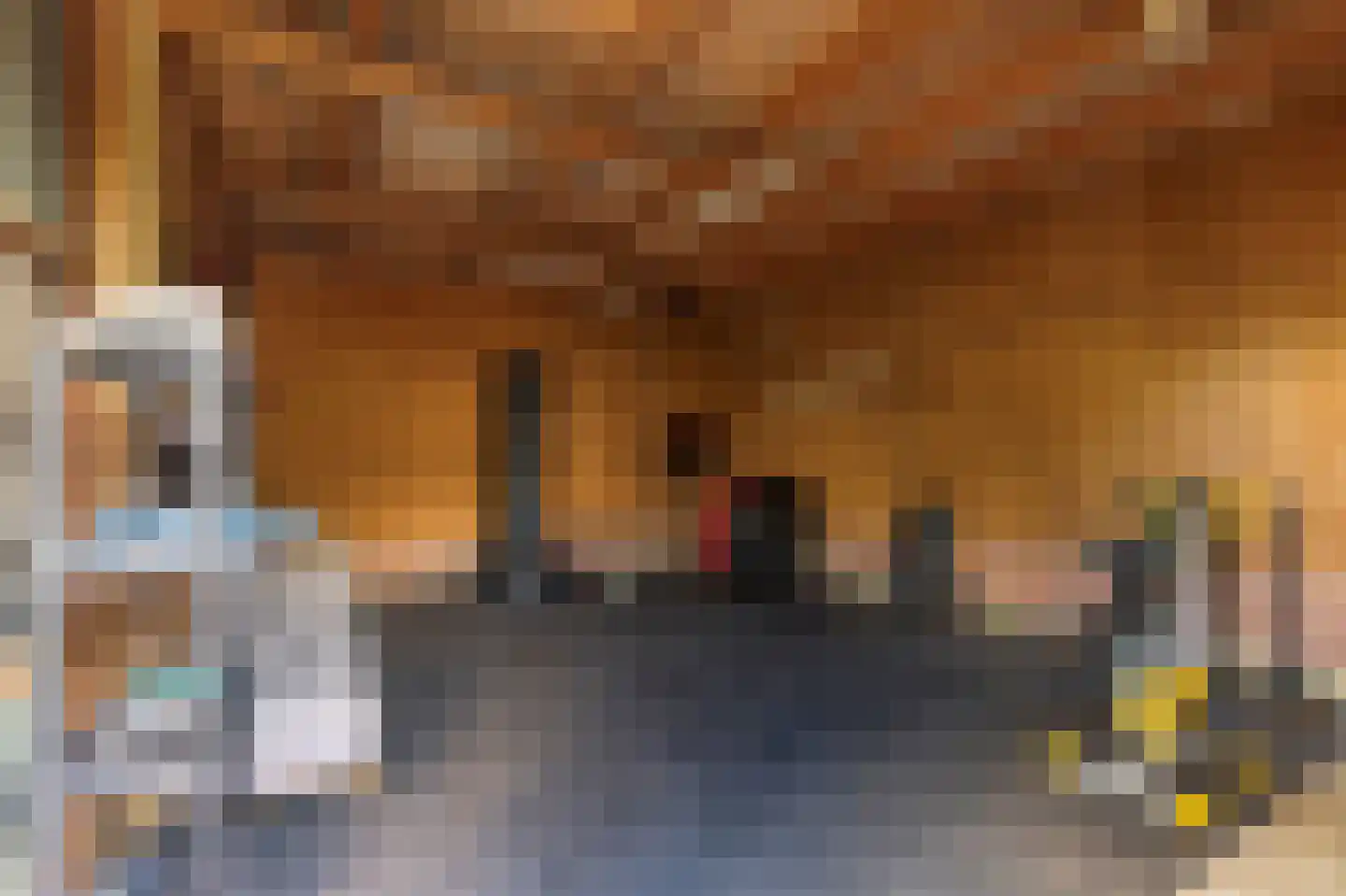 Bergsestraat 69 Wouw thumbnail 57