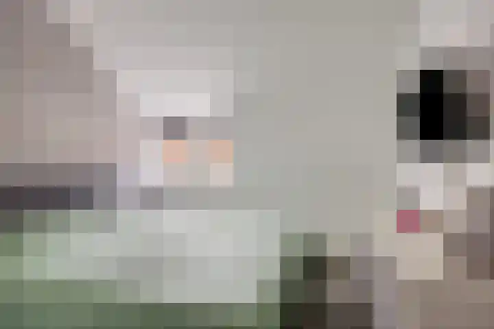 Bergsestraat 81 Wouw thumbnail 13