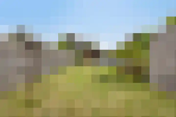Bergsestraat 81 Wouw thumbnail 22