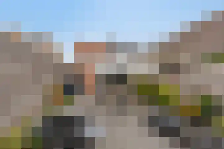 Bergsestraat 81 Wouw thumbnail 23