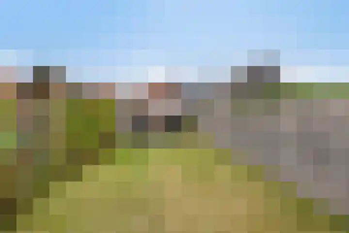 Bergsestraat 81 Wouw thumbnail 25