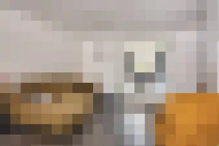 Bergsestraat 81 Wouw thumbnail 4
