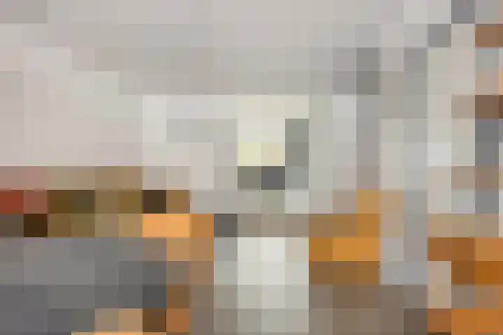 Bergsestraat 81 Wouw thumbnail 7
