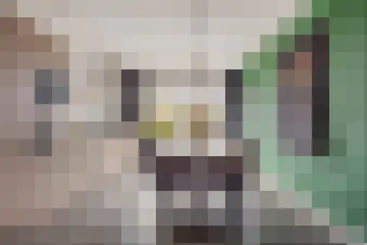 Bergsestraat 81 Wouw thumbnail 8