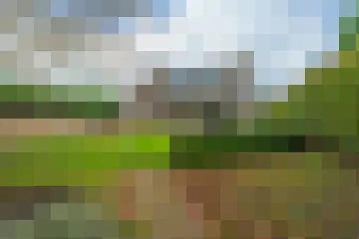 Bergseweg 10 C Voerendaal thumbnail 34