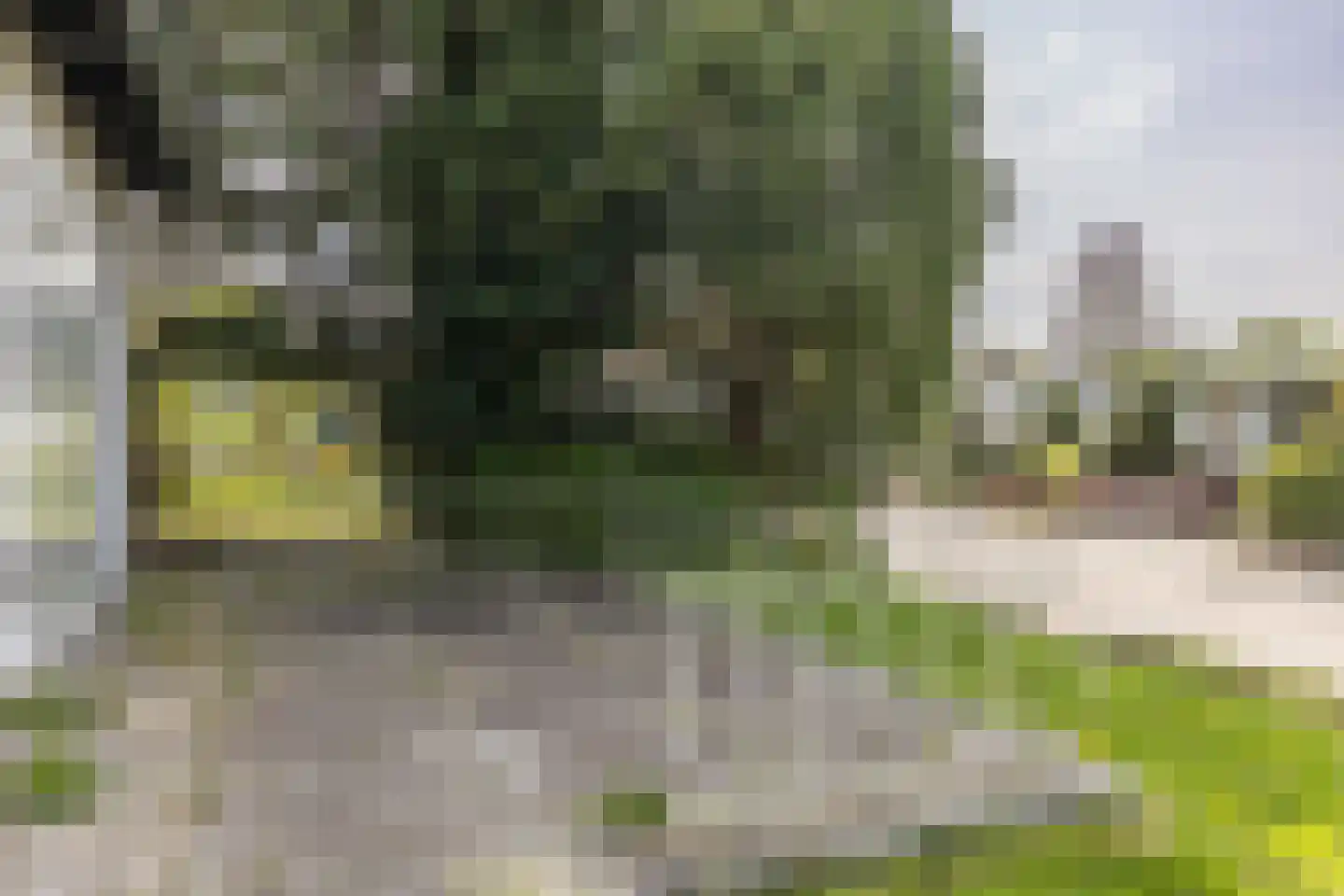 Bergseweg 13 Voerendaal thumbnail 25
