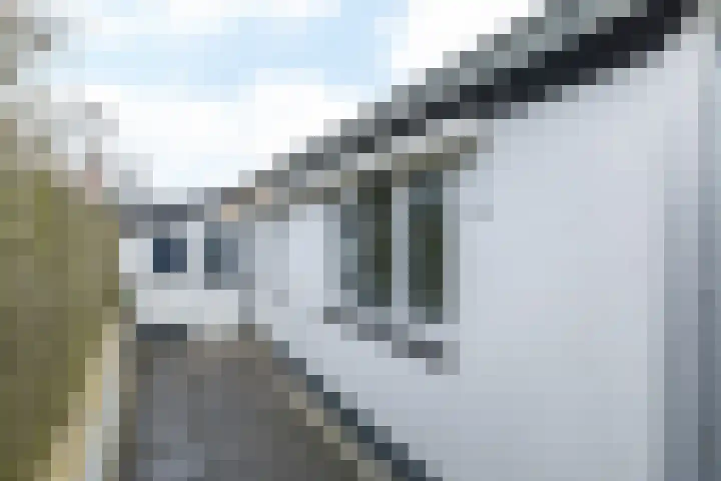 Bergseweg 14 Voerendaal thumbnail 16
