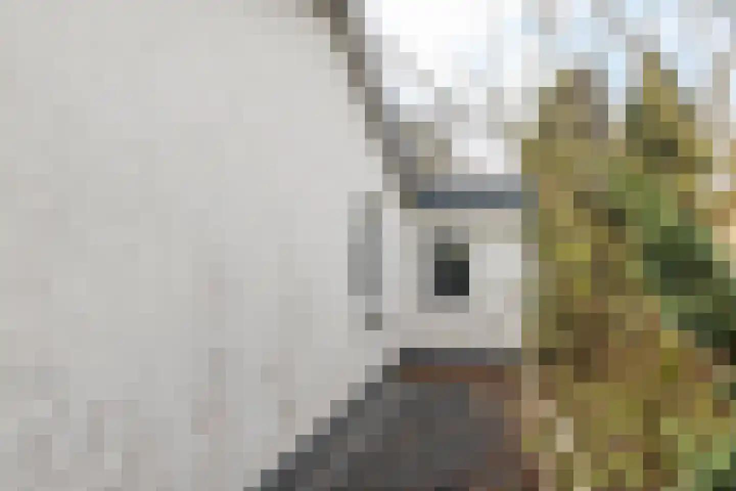 Bergseweg 14 Voerendaal thumbnail 18