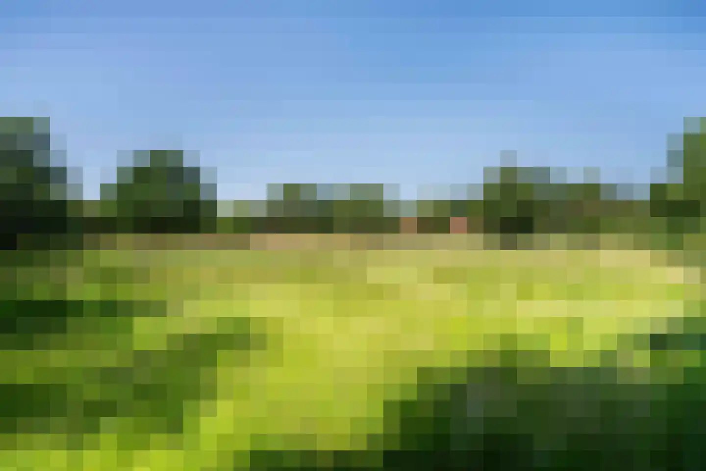 Bergsheisteeg 1 Weert thumbnail 8