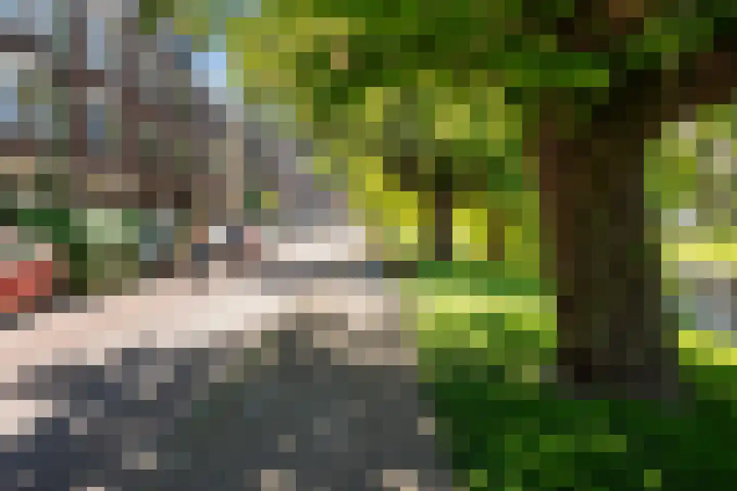 Bergsingel 100 A Rotterdam thumbnail 50