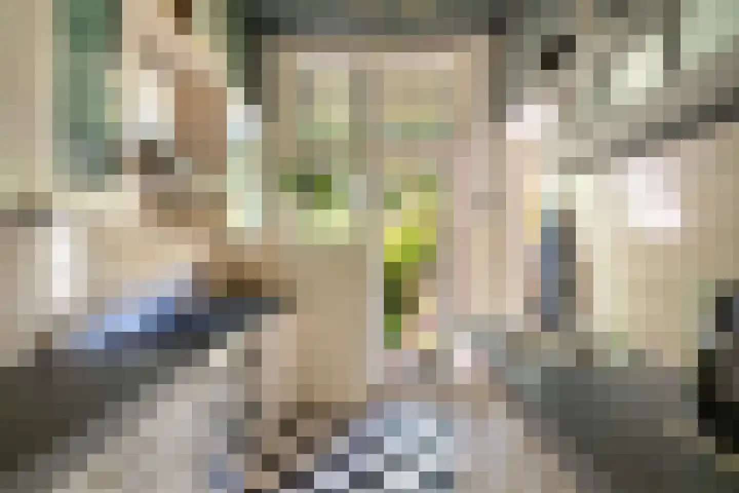 Bergsingel 100 A Rotterdam thumbnail 7