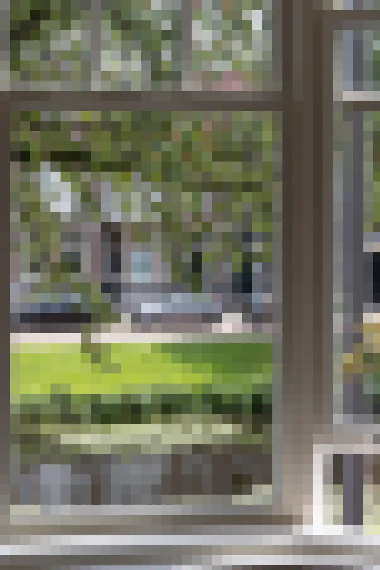 Bergsingel 119 B Rotterdam thumbnail 26