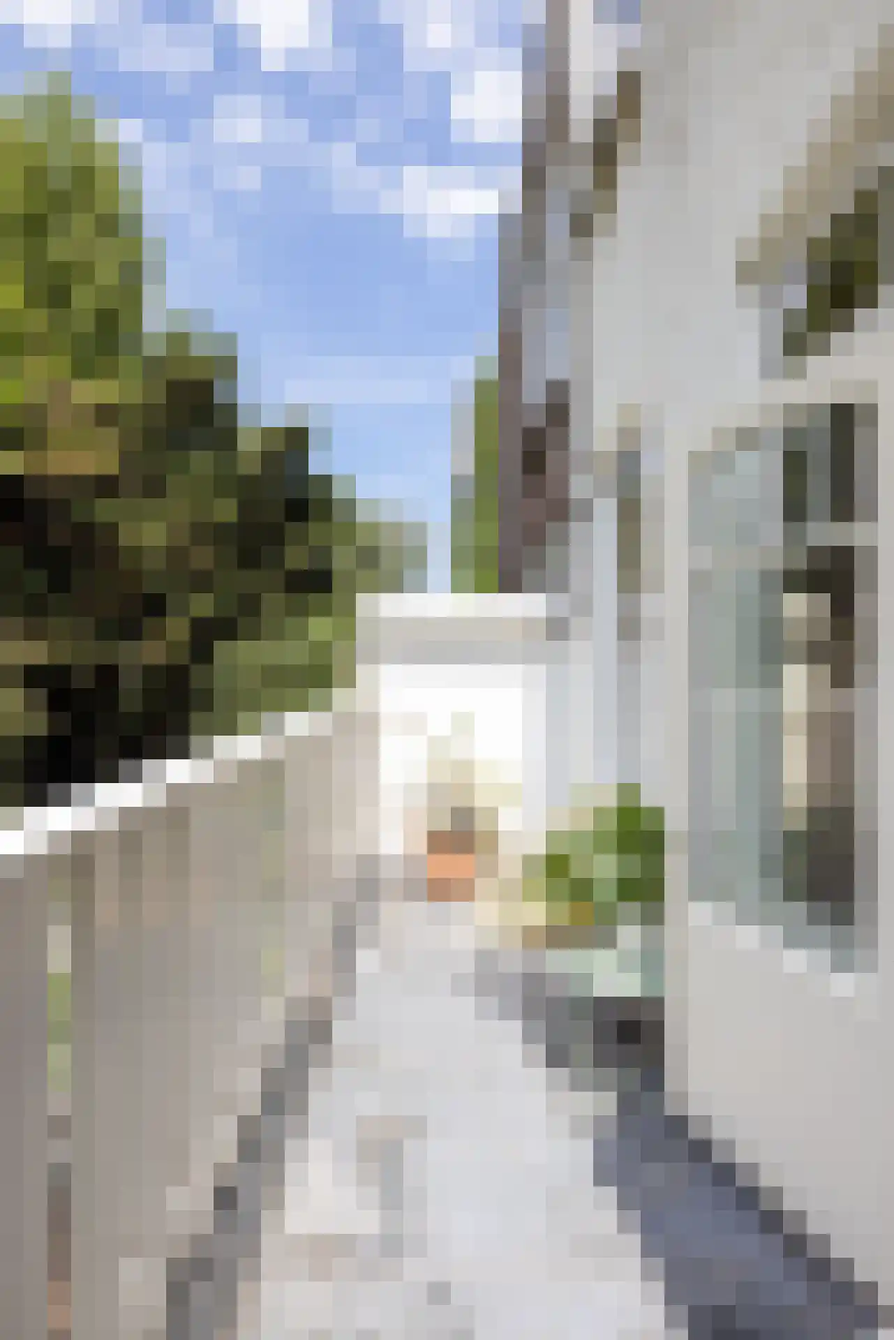 Bergsingel 119 B Rotterdam thumbnail 30