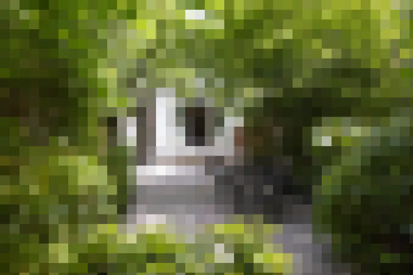 Bergsingel 119 B Rotterdam thumbnail 4