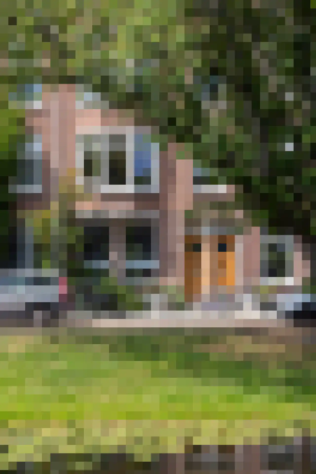Bergsingel 119 B Rotterdam thumbnail 44