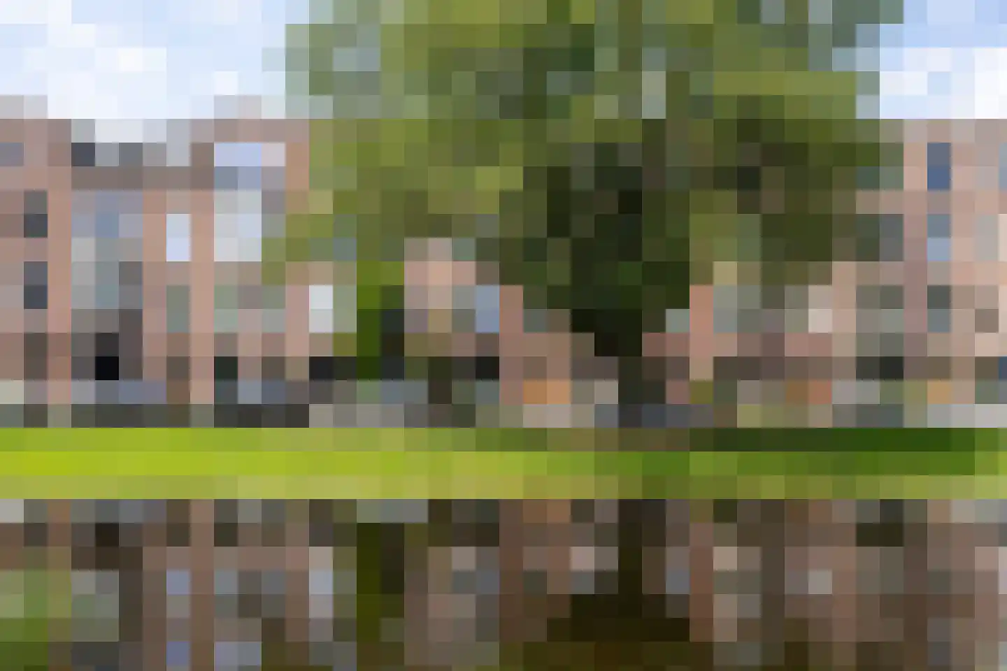 Bergsingel 119 B Rotterdam thumbnail 5