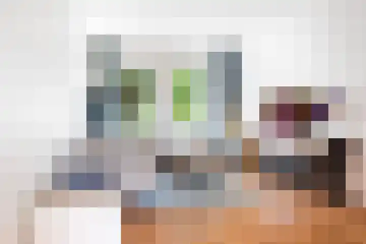 Bergsingel 208 B Rotterdam foto 3