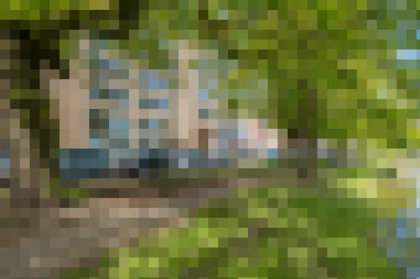 Bergsingel 221 Rotterdam thumbnail 47