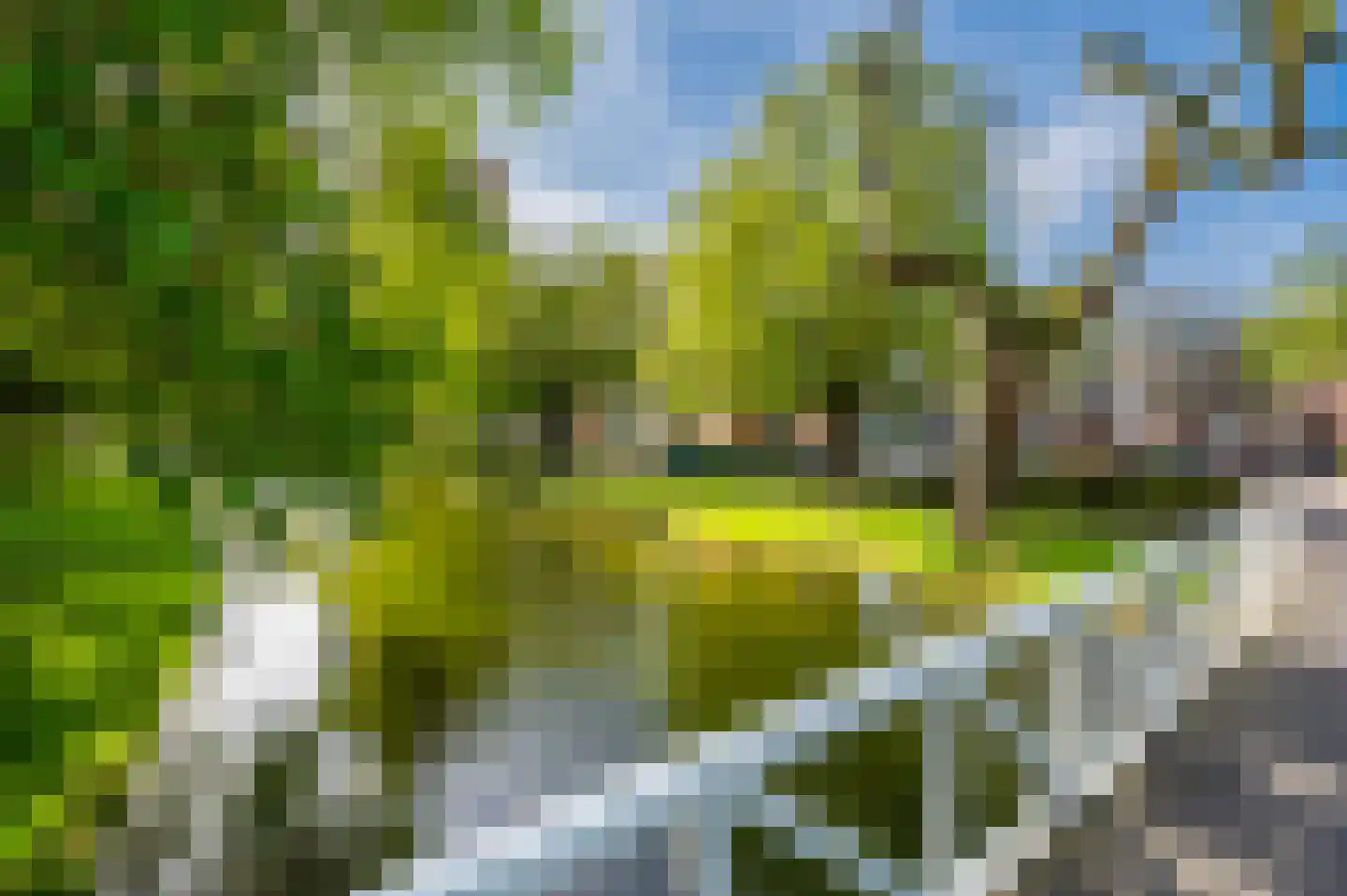 Bergsingel 221 Rotterdam thumbnail 51