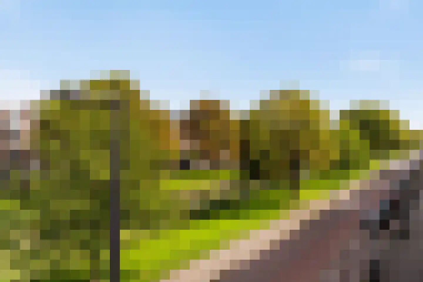 Bergsingel 33 D Rotterdam thumbnail 11
