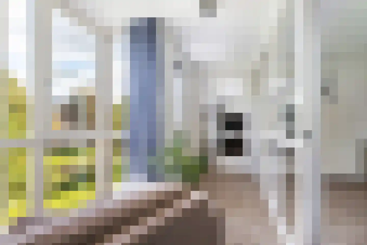 Bergsingel 33 D Rotterdam thumbnail 19